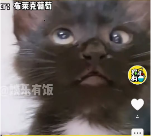 03 入驻成功